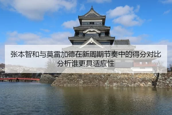 张本智和与莫雷加德在新周期节奏中的得分对比分析谁更具适应性