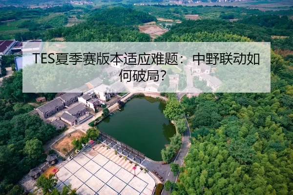 TES夏季赛版本适应难题：中野联动如何破局？