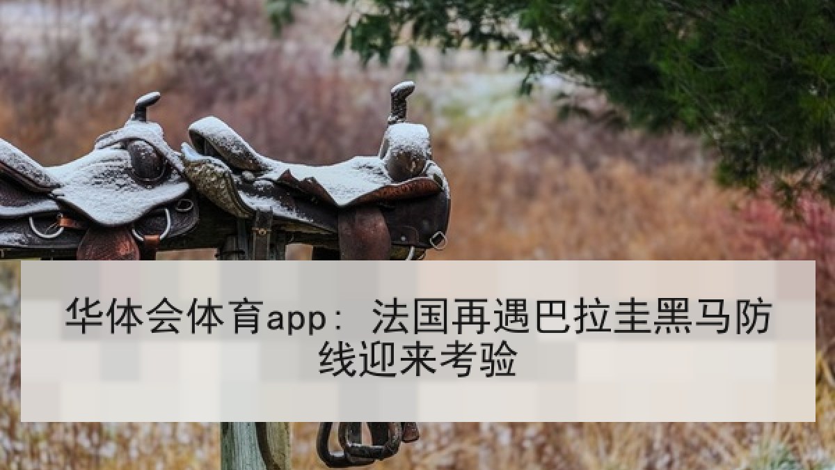 华体会体育app: 法国再遇巴拉圭黑马防线迎来考验