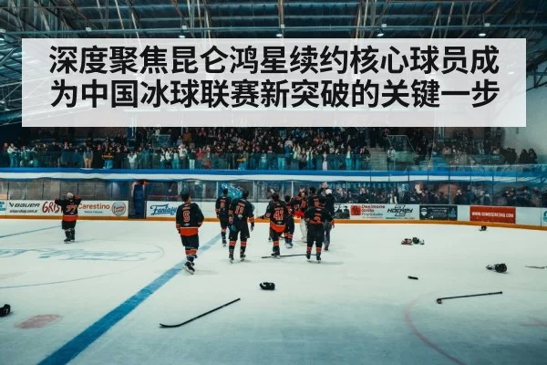 ice hockey arena crowd