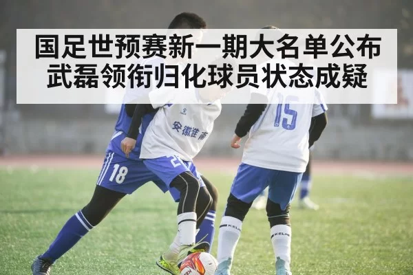 国足世预赛新一期大名单公布武磊领衔归化球员状态成疑