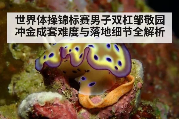 世界体操锦标赛男子双杠邹敬园冲金成套难度与落地细节全解析