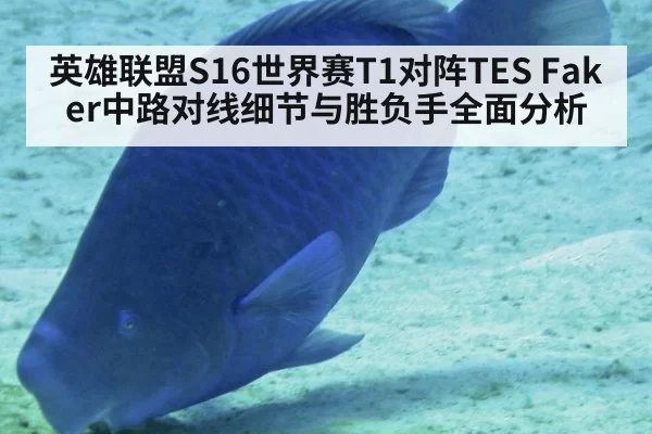 英雄联盟S16世界赛T1对阵TES Faker中路对线细节与胜负手全面分析